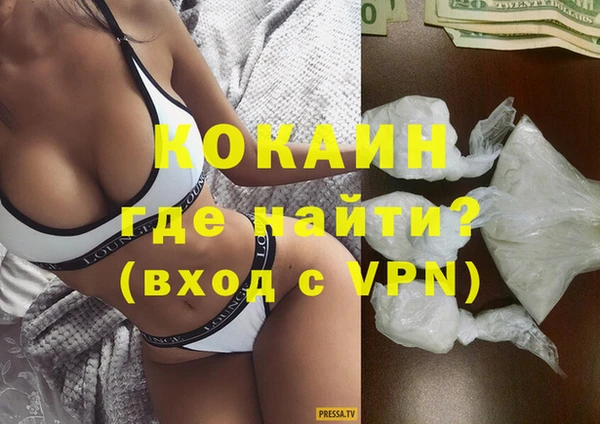 гидра Каменка