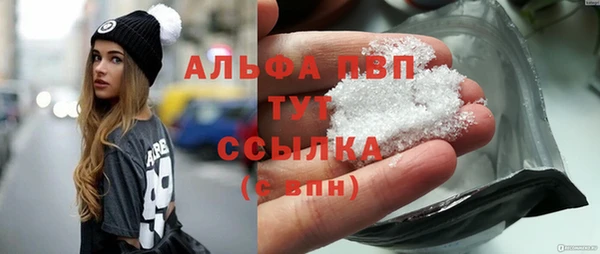 гидра Каменка