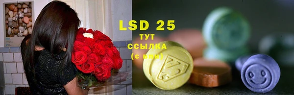 ГАЛЛЮЦИНОГЕННЫЕ ГРИБЫ Каменногорск