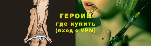 гидра Каменка