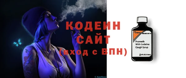 гидра Каменка