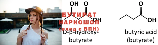 гидра Каменка