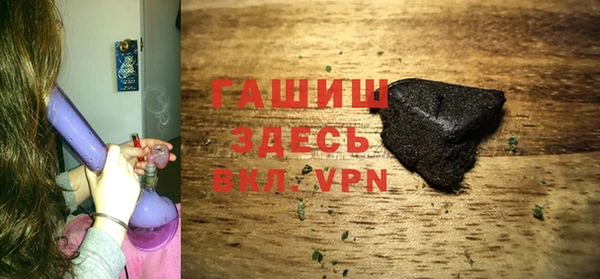 гидра Каменка