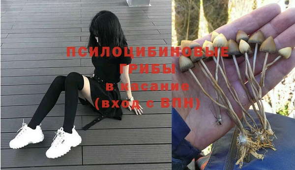 гидра Каменка