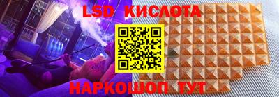 индика Гусь-Хрустальный