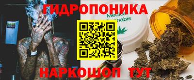 индика Гусь-Хрустальный