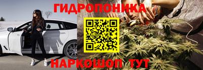 индика Гусь-Хрустальный