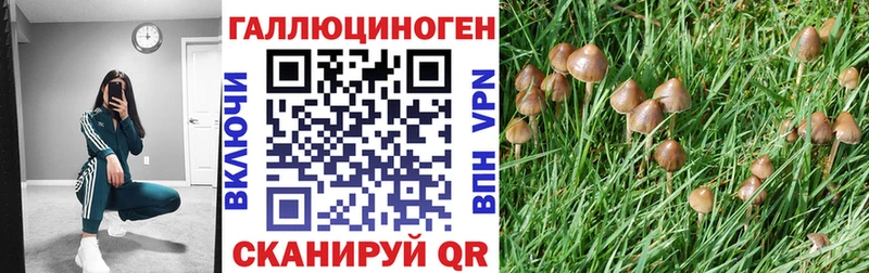 Псилоцибиновые грибы мухоморы  где продают наркотики  Чебоксары 