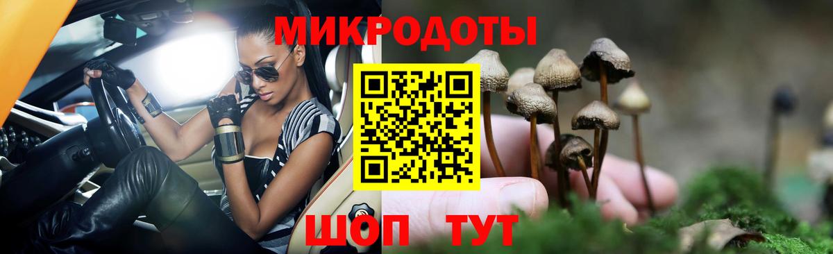 Псилоцибиновые грибы мицелий  Чебоксары 